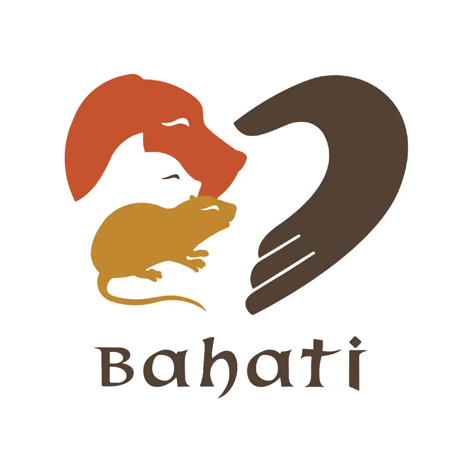 Logo: Fundacja Bahati